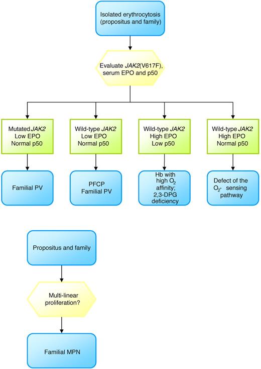 Figure 2. Approach to diagnose familial PV.