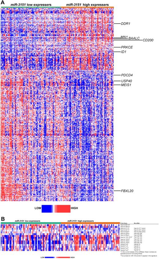 Figure 4. Heat map of the derived gene- and miR-expression signature associated with miR-3151 expression in CN-AML patients 60 years of age or older. Expression values of the probe sets (probes) are represented by color, with blue indicating expression less than and red indicating expression greater than the median value for the given probe set (probe). (A) GEP: up-regulated and down-regulated genes that are mentioned in the text are indicated along the side. (B) MEP: up-regulated and down-regulated miRs are indicated along the side.