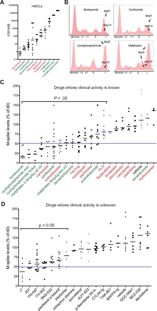 Figure 1. Assessment of drug response in Vk*MYC MM. (A) IC50 (nM) of the indicated drugs obtained by MTT assay in various HMCLs. Each dot represents a cell line, and bars show median values plotted on a log10 scale. In green or red are labeled drugs with single-agent response rates in MM clinical trials above or below 20%, respectively. (B) SPEP and densitometric profile of Vk*MYC mice treated with known active antimyeloma drugs. The day 0 (filled) and day 14 (pink line) traces have been overlaid. The various serum fractions on the densitometry plot are labeled. Arrows point to M-spikes before (day 0) and after (day 14) treatment. (C) The response of Vk*MYC mice to drugs with known (green, red) or (D) unknown (black) activity. Drug activity is quantified by measuring M-spike levels at day 14 after treatment normalized to day 0. Each dot represents an individual M-spike. Bars show median M-spike levels at day 14 normalized to day 0. A blue line in each dot plot arbitrarily separates active drugs (> 50% M-spike reduction, on the left) from inactive ones (< 50% M-spike reduction, on the right). The P value of active drugs compared with vehicle is shown. PLD indicates pegylated liposomal doxorubicin.