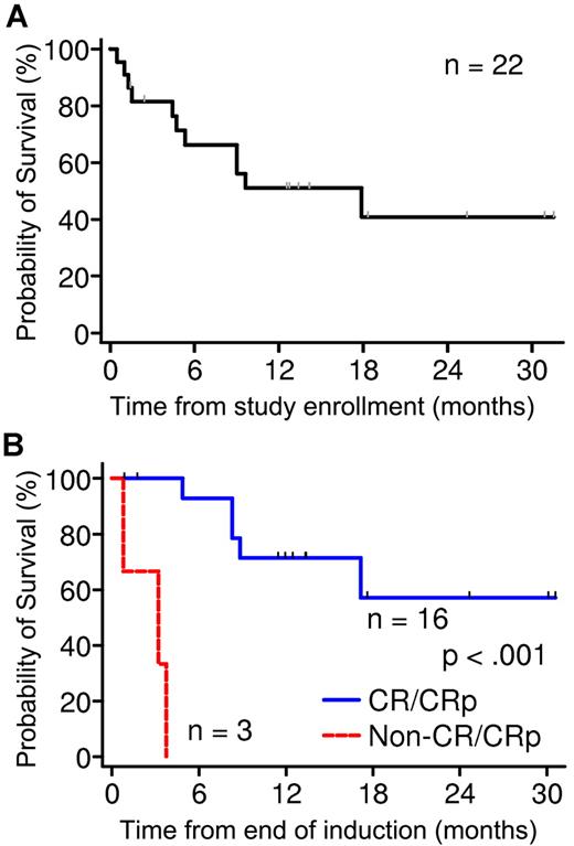 Figure 1. Survival analysis of phase 2 patients. (A) OS of all 22 patients in phase 2 at 24 months is estimated to be 41% ± 13%. (B) Comparison of survival of patients who completed reinduction. Survival was significantly better in those who responded (CR or CRp) compared with those who did not (P < .001).