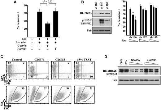 Figure 1. Implication of PKD in erythropoiesis. (A) G1ER proerythroblasts underwent differentiation induction with erythropoietin (Epo), estradiol, and kinase inhibitors; percentage hemoglobinized cells was assessed by benzidine staining. Data are mean ± SEM for 3 independent experiments. (B) G1ER cells transduced with shRNA constructs targeting PKD3 were assessed for PKD3 expression, class IIa HDAC phosphorylation, and erythroid differentiation. sh 186 provided strong knockdown of PKD3 expression; sh 187 provided no knockdown; and sh 188 provided weak knockdown. Left: Immunoblot (IB) of transduced cells (8% gel). Right: Differentiation induction with estradiol and erythropoietin (0.5, 0.1, or 0.05 U/mL), showing mean ± SEM for 3 experiments. *P < .05 for sh 186 vs controls at corresponding Epo doses. (C) Human primary progenitors cultured 5 days in erythroid medium with 100% or 15% transferrin saturation. Kinase inhibitors were included at 2μM in medium with 100% transferrin saturation. Flow cytometry for the erythroid marker glycophorin A (GPA) and the megakaryocyte marker CD41, with gating on viable fractions by forward (FSC) and side scatter (SSC). See also supplemental Figure 1. (D) Class IIa HDAC phosphorylation in human progenitors cultured 5 days in erythroid medium with 100% or 15% transferrin saturation (TSAT) or with kinase inhibitors (0.5, 1.0, and 2.0μM, all with 100% transferrin saturation). IB of whole cell lysates (12% gel).