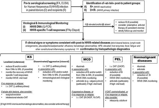 Figure 4. Monitoring and treatment algorithm for clinical management of HHV8-related complications in SOT patients. Q-PCR indicates quantitative polymerase chain reaction; IFNγ-ELISPOT, interferon-γ enzyme-linked immunospot; IS, immunosuppression; SRL, sirolimus; CHT, chemotherapy; and L, liposomal.