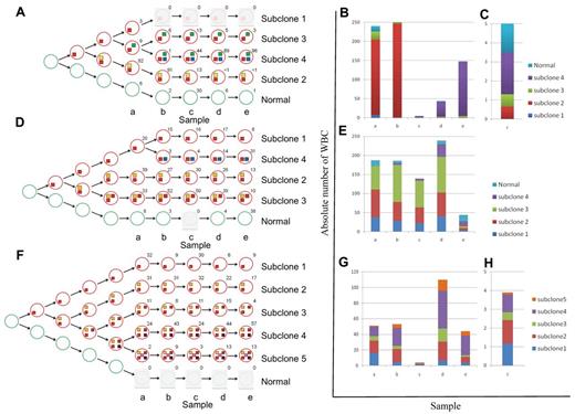 Figure 2. Schematic presentation of the changes in subclonal architecture over time. (A,D,F) Schematic representation of the subclonal hierarchy for patients CLL003 (A), CLL077 (D), and CLL006 (F). Tumor subclones (red circles) are mapped to each stage and extrapolated back to the origin. The number beside each circle shows the percentage of cells calculated using mutant allele frequencies. Colored boxes denote mutation profile groups (Figure 1D, supplemental Figure 3). (B-C,E,G-H) Graphic illustration of absolute cell numbers for each subclone at all stages for patients CLL003 (B-C), CLL077 (E), and CLL006 (G-H). Plots are expanded for stage c of patient CLL003 (C) and stage c of patient CLL006 (H).