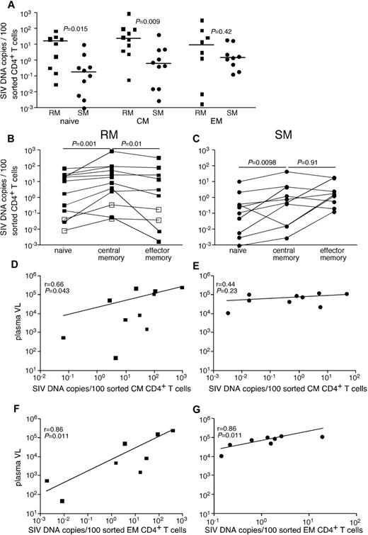 Figure 1. SIV infection of CD4+ T-cell subsets in peripheral blood of RMs and SMs. Naive (CD28dullCCR7+CD95−), TCM (CCR7+CD95+), and TEM (CCR7−CD95+) CD4+ T cells were flow cytometrically sorted from peripheral blood of SIVsmmE543-infected RMs (■), SIVmac239-infected RMs (□), and SIVsmm-infected SMs (●), and infection levels of individual subsets were determined by quantitative PCR. Infection frequencies of individual subsets are compared between RMs and SMs (A). Infection frequencies of different subsets are compared within RMs (B) and SMs (C). Horizontal lines represent the median. P values are based on the Mann-Whitney test (A) or the Wilcoxon matched pairs test (B-C). Correlation between plasma viral loads and infection frequencies of TCM (D-E) and TEM (F-G) in peripheral blood of SIV-infected RM (D,F) and SIV-infected SM (E,G). Lines are based on linear regression and r and P values are based on Spearman rank correlation coefficient.
