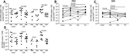 Figure 4. SIV infection of CD4+ T-cell subsets in LNs of RMs and SMs. Naive (CD28dull,CCR7+CD95−), TCM (CCR7+CD95+), TEM (CCR7−CD95+), and TFH (CCR7−PD-1+ICOS+CTLA-4+CD95+) CD4+ T cells were flow cytometrically sorted from LNs of SIVsmmE543-infected RMs (■), SIVmac239-infected RMs (□), and SIVsmm-infected SMs (●), and infection levels of individual subsets were determined by quantitative PCR. Infection frequencies of individual subsets are compared between RMs and SMs (A). Infection frequencies of different subsets are compared within RMs (B) and SMs (C). Numbers of CD4+ T cells in each subset containing viral DNA per 1000 total LNMCs. Horizontal lines represent the median. P values are based on the Mann-Whitney test (A,D) or the Wilcoxon matched pairs test (B-C).