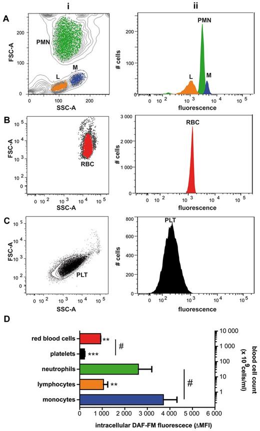 Figure 1. Hierarchy of DAF-FM–associated fluorescence intensity in human blood cells. (A-C) Blood was separated into platelet-rich plasma, leukocytes, and red blood cell fractions and loaded with DAF-FM diacetate. Blood cell subpopulations within each fraction were identified by flow cytometry on the basis of their FSC/SSC distribution (i) and by surface marker discrimination (not shown). The distribution of the green fluorescence signal measured in each gate is depicted in panel ii. L-lymphocytes, M-macrophages, PLT-platelets, PMN-polymorphonuclear granulocytes, RBC-red blood cells; SSC-side scatter, FSC-forward scatter. (D) Specific intracellular fluorescence of blood cell subpopulations (assessed as ΔMFI = median fluorescence intensity − background fluorescence) plotted in relation to blood composition (ie, relative levels of each cell in blood; right y-axis; n = 4; ANOVA P = .0002: Bonferroni versus monocytes **P < .01; ***P < .001, #t test P < .001).