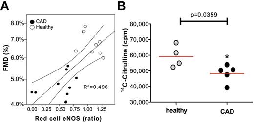 Figure 5. Changes in the red cell eNOS expression and activity in patients with endothelial dysfunction. (A) Monovariate linear correlation analysis between red cell eNOS expression as evaluated by Western blot analysis and endothelium-dependent flow mediated dilation (FMD) in patients affected with endothelial dysfunction and healthy individuals (healthy). (B) The activity of red cell eNOS was evaluated in a randomized subset of the groups by evaluating the conversion of 14C-L-arg into 14C-L-citrulline. Total radioactivity is expressed as counts per minute (cpm); t test *P = .0359.