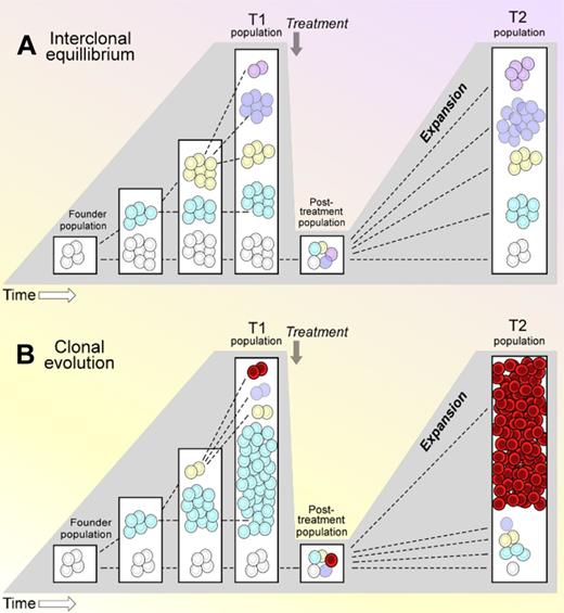 Schematic representation of 2 diverse dynamic patterns observed in whole-genome sequenced CLL samples, sampled at multiple times. T1 indicates time point 1; and T2, time point 2. One pattern is of interclonal equilibrium (A), while the other is of clonal evolution (B).