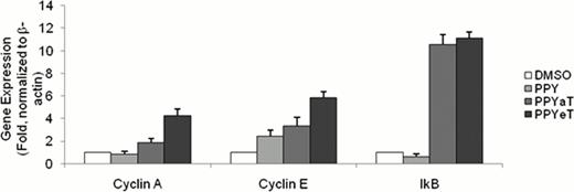 Fig. 1. Iron chelators induce expression of IkB gene. 293T cells were treated with vehicle (DMSO), and iron chelators, PpYeT, PpYaT. After 24 treatment, RNA was extracted, reverse transcribed and analyzed by real-time PCR on Roche 4800 using primers for GAPDH,CDK2,CyclinA CyclinE and IkB. Primers for GAPDH were used for reference. The ΔΔCt analysis was performed using DMSO-treated, sample as a reference target and reference control. Both tested iron chelators induced expression of IkBα, the inhibitor of NFKB, suggesting potential mechanism for cyclin E deregulation. CyclinA is upregulated in PPYaT treated cells.
