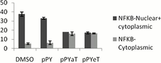 Fig.2:. Distribution of NFKB in cytoplasm or in Nucleus and cytoplasm in cell treated and untreated with Iron Chelator. A: Number of cell having cytoplasmic and ubiquitious NFKB distribution in iron chelator treated cell and DMSO/pPY treated control. . / B: Representative cells having uniform versus cytoplasmic distribution of NF-kB.
