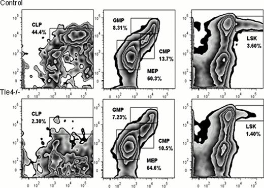 Figure 2:. Representative Flow plots illustrating progenitor and LSK defects in Tle4−/− mice.