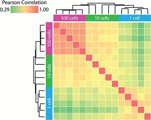 Figure 1:. Inter-array replicate correlation suggests heterogeneity in single cells. Inter-array replicate correlations (minimum log2 intensity = 7) with all pair-wise comparisons of 5 replicates for each cell number group (100, 10, 1 cell) were hierarchically clustered and plotted in a heat map, with the dendrograms shown above and to the left of the group labels. High inter-array replicate correlation was observed within the 100 cell group and to a lesser extent in the single cell group.