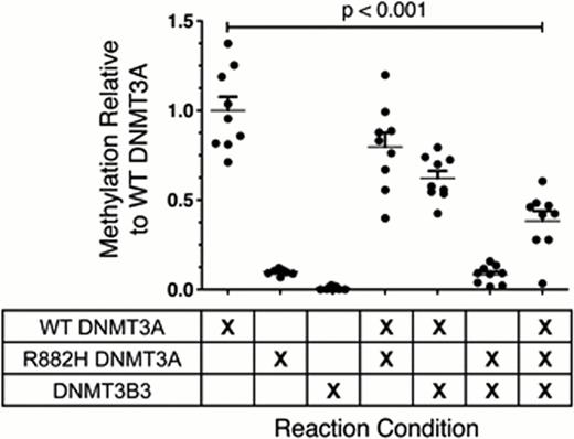 Figure 1:. The de novo methyltransferase activity of WT DNMT3A is inhibited by R882H DNMT3A and DNMT3B3. Mixing equimolar amounts of WT DNMT3A, R882H DNMT3A, and DNMT3B3 leads to additive inhibition of methylation by 62% (p < 0.001).