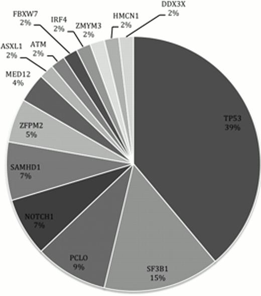Fig 1. Frequency of genes with somatic mutations in our CLL cohort.