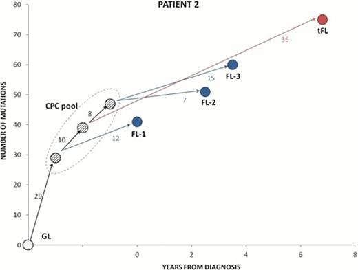 Figure 1:. Clonal divergence of follicular lymphoma in patient 2 illustrating the presence of shared ‘truncal’ and unique ‘branching’ somatic mutations at various tumour time points. The numbers above each branch indicate the number of non-synonymous mutations. CPC, common progenitor cell; GL, germline; FL-1, 1st relapse; tFL, transformed FL
