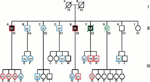Figure 1. Pedigree of the MDS/AML family. Circles represent women and squares represent men. Filled shapes indicate individuals affected with MDS/AML. Slashes indicate deceased individuals and numbers below shapes indicate present age or age at death. Roman numerals to the right of the pedigree indicate generation and letters indicate individuals within a generation. W indicates individuals who are wild-type for Dido,m indicates individuals with a heterozygous Dido mutation and M indicates individuals with inferred heterozygous Dido mutation. Empty shapes indicates individuals not sequenced.