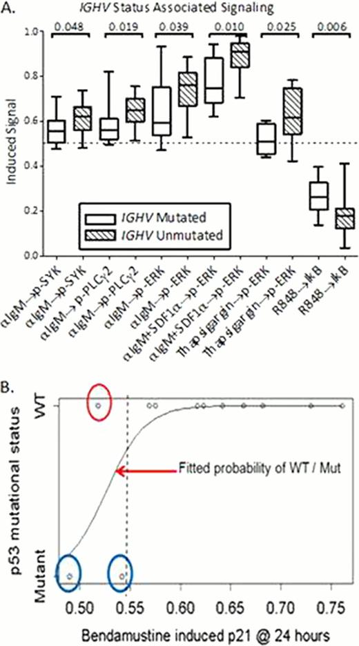 Figure 2. (A) B-CLL cells from patients with unmutated IGHV had greater induced signaling. Dashed line represents unmodulated signal. (B) Prior to unblinding clinical data, it was pre-specified that samples having reduced bendamustine-induced p21 expression levels would carry p53 mutations.