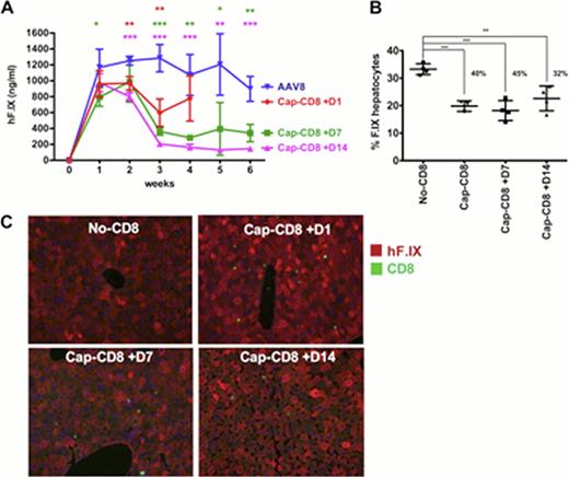Figure 1. In vivo model for AAV8 capsid specific CD8 T cell response following AAV8 hF.IX liver gene transfer. (A) hF.IX levels (B) % hF.IX hepatocytes 42 days post vector (C) liver sections stained for hF.IX (red) and CD8 (green) 42 days post vector.