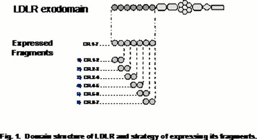 graphic