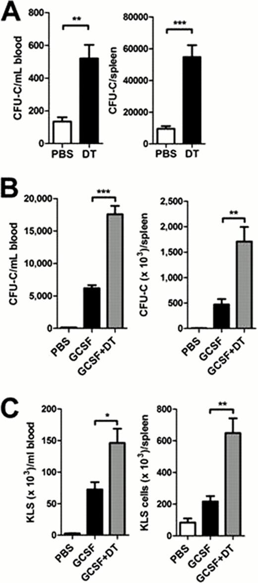 Figure 1. HSPC mobilization in CD11c-DTR mice. CD11c-DTR bone marrow chimeras were treated with diphtheria toxin (DT) alone, G-CSF alone, or DT plus G-CSF. The number of CFU-C (A & B) or KLS cells (C) in the blood and spleen are shown. Data represent the mean ± SEM of 10–11 mice pooled from two independent experiments. *p < 0.05; **p < 0.001; ***p < 0.0001.