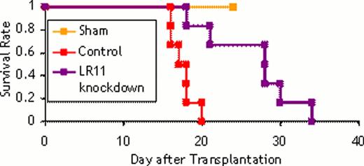 Figure 1. Survival of mice transplanted with U937 cells