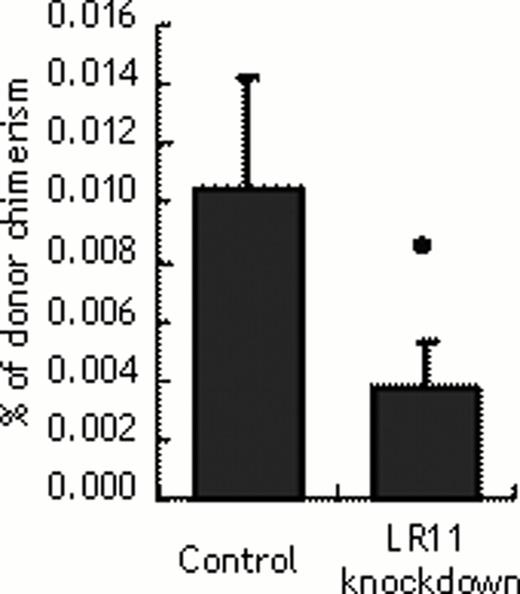 Figure 2. The role of LR11 on the homing of U937 cells into bone marrow