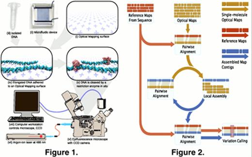 Fig. 1. Overview of the Optical Mapping platform. Bulk microscope cover glass is cleaned with a strong acid, then treated with a silane mixture to make positively charged Optical Mapping surfaces (i). A silicon wafer is patterned with standard photolithography techniques, and then replicated into a flexible PDMS microfluidic device (ii) using soft lithography. Finally, pure, high molecular-weight DNA (iii) is isolated from cultured eukaryotic cells using a gentle detergent-based lysis protocol. The microfluidic device is adhered to the Optical Mapping surface, and the DNA solution is pumped through the microchannels, wherein the DNA is elongated and attached to the Optical Mapping surface via electrostatic interaction (iv). The DNA is incubated with a restriction endonuclease (v), which cleaves the DNA at its cognate sites. The cleaved DNA is stained and imaged on an epifluorescence microscope (vi) illuminated by an argon-ion laser (vii) and controlled by a computer workstation (viii).