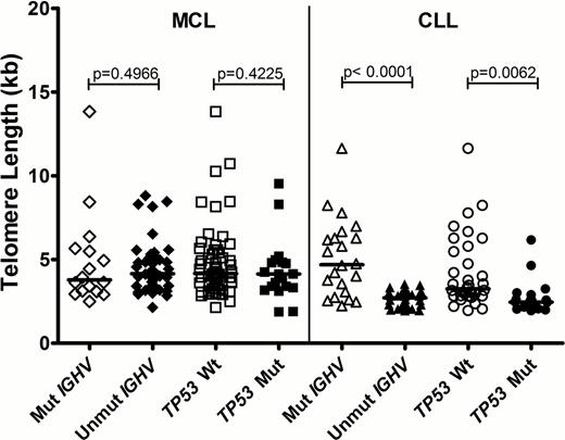 Figure 1:. Telomere length distribution in MCL and CLL samples with mutated/unmutated IGHV and mutant/wildtype TP53.