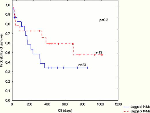 Fig. 1. RFS (A) and OS (B) in high and low-expressers of Jagged-1 protein in AML blasts.