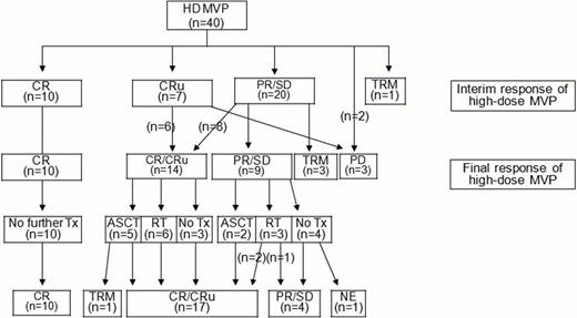 Figure 1:. Treatment scheme HD-MVP high dose methotrexate, vincristine and procarbazine, CR complete response, CRu unconfirmed complete response, PR partial response, SD stable disease, PD progressive disease, Tx treatment, NE not evaluated, ASCT autologous hematopoietic stem cell transplantation, RT radiotherapy