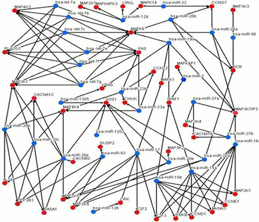 Fig 1. microRNA-gene interaction networks of MAPK pathway. Blue nodes represent microRNA co-eppressed in MVs from K562 cells and K562 cells, red nodes represent target mRNA. Edges show the regulatory effect of microRNA on mRNA.