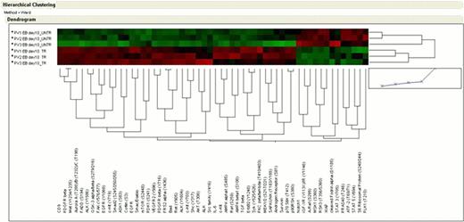 PV EBs – DXM vs PV EBs + DXM. This comparison revealed increased activation of RTKs (KIT, EGFR, ErbB2, VEGFR, PDGFR and Met) and of the SAPK/JNK pathway in PV + DXM while PV– DXM were characterized by increased activation of Raf/MSK1/RSK3 and STAT3 and STAT5.