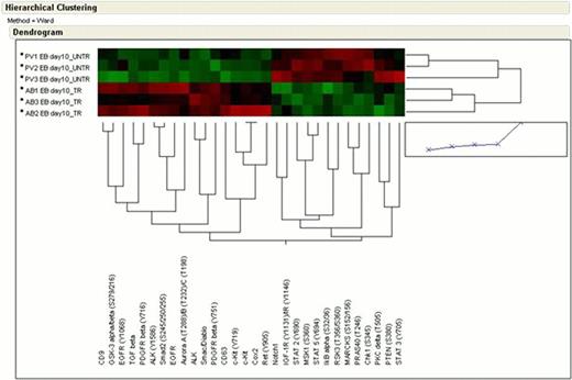 PV EBs - DXM vs AB EBs. This comparison revealed activation of a subset of RTKs in ND cells, including KIT/CD63 and PDGFRβ. By contrast, PV - DXM were characterized by increased activation of a broader set of signaling pathways, including RSK3/MSK1 signaling, STAT2, STAT3 and STAT5.