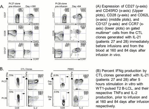 Figure 2. Adoptively transferred WT1-specific CD8+T-cells persisting in vivo exhibit many phenotypic and functional characteristics associated with CD8+central memory cells
