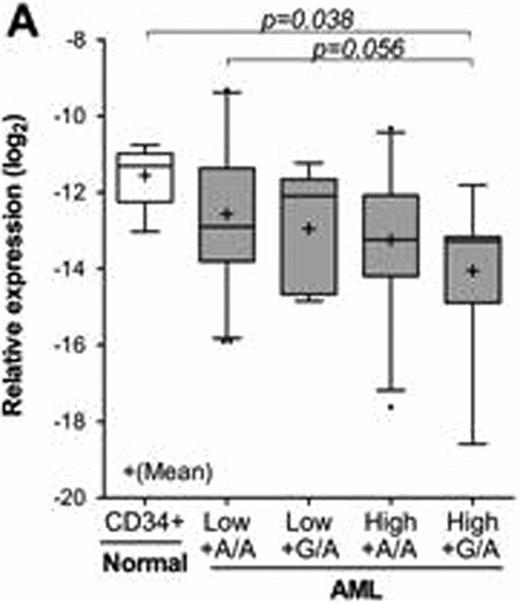 Figure 1. (A)KLF5 expression in AML patients with high or low methylation and A/A or G/A SNP genotype, (B) Kaplan Meier overall survival curves of patients with high versus low KLF5 methylation, median survival in months (mo) is indicated as well as percentage survival at 5 years (C) Kaplan Meier overall survival curves of AML patients stratified by both KLF5 methylation and SNP genotype. P values represent analysis of the comparison of the High+G/A group to the other 3 groups.