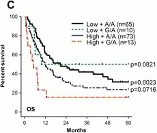 Figure 1. (A)KLF5 expression in AML patients with high or low methylation and A/A or G/A SNP genotype, (B) Kaplan Meier overall survival curves of patients with high versus low KLF5 methylation, median survival in months (mo) is indicated as well as percentage survival at 5 years (C) Kaplan Meier overall survival curves of AML patients stratified by both KLF5 methylation and SNP genotype. P values represent analysis of the comparison of the High+G/A group to the other 3 groups.