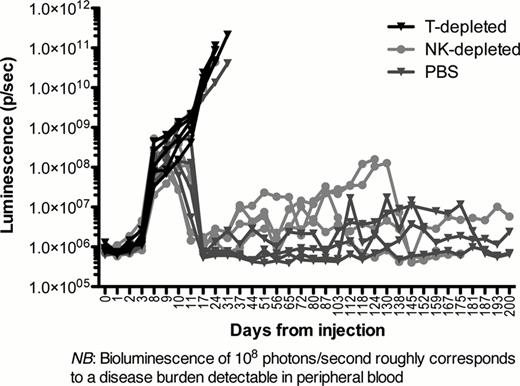 Figure 1:. Spontaneous clearance of GFP/luc leukemia is abrogated by T cell- but not NK cell-depletion