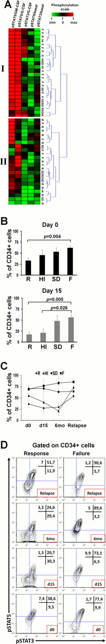 Fig 1. (A) Heatmap of pretreatment SPs in CD34+ cells. (B) The DP subset was significantly decreased in responding patients. (C, D) Results and representative plots of the DP subset kinetics in patients with R (n=7), HI (n=3), SD (n=1) and F (n=3).