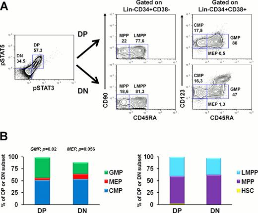 Figure 2. (A) Cytometric and (B) cumulative analysis (n=8) of the hematopoietic hierarchy in DP and DN subsets.