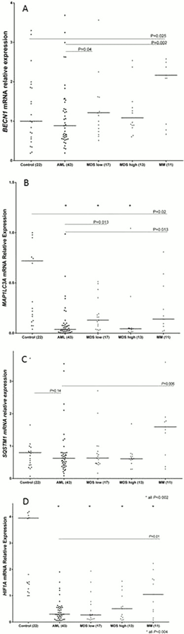 Figure 1. – Relative gene expression of BECN1 (A), MAP1LC3A (B), SQSTM1 (C) and HIF1A (D) in Bone Marrow Malignancies (AML, low-risk MDS, high-risk MDS and MM, respectively)
