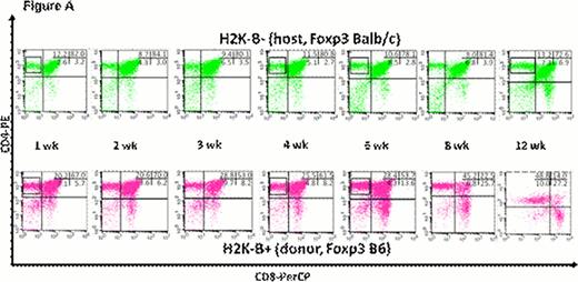 Figure A. Differential Thymic T Cell Development in the Foxp3GFP B6¡úfoxp3GFP Balb/c allogeneic IUHCT.