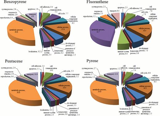 Fig. 1. Functional grouping of protein candidate biomarkers for PAH exposure.