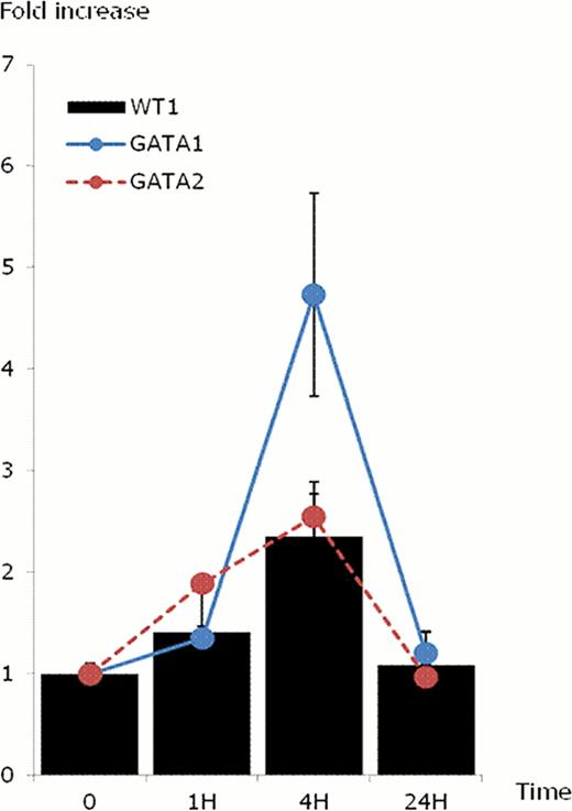 Figure 2. Time course of GATA1, GATA2 and WT1 mRNA levels with sLR11