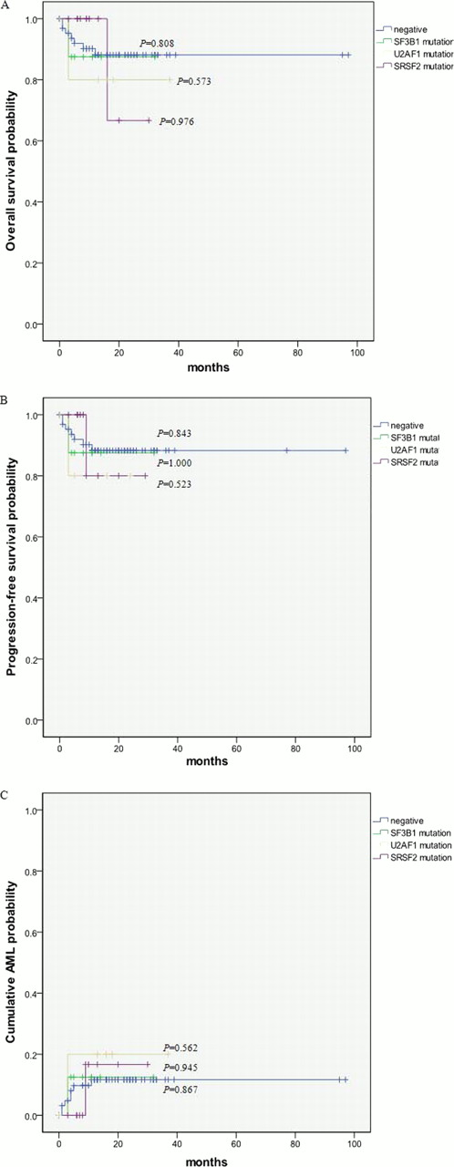 Fig. 1. Prognostic implication of SF3B1, U2AF1 and SRSF2 splice gene mutation. Mutation of SF3B1, U2AF1 and SRSF2 splice gene was not significantly implicated in overall survival rate (A), progression-free survival (B) and AML probability (C).