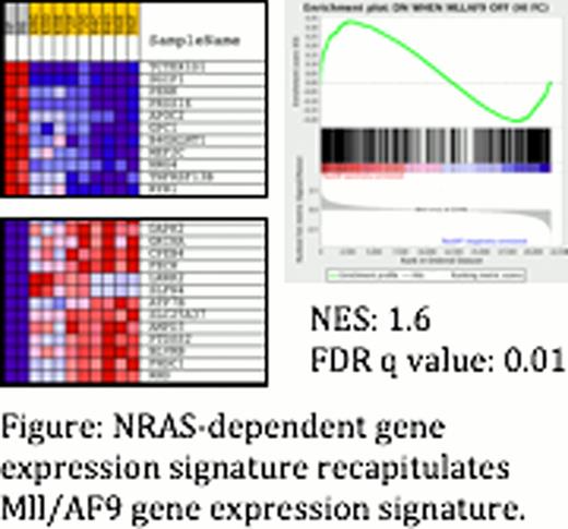 Figure:. NRAS-dependent gene expression signature recapitulates Mll/AF9 gene expression signature.