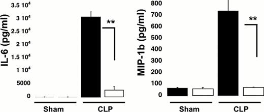 Figure 1:. Sepsis-induced increases in plasma cytokines are attenuated in P2Y12 KO mice following CLP. Plasma levels of TNF-a, IL-10, IL-6 and MIP-1b in wild type (black) and KO mice (white). Values are expressed as pg/ml, mean ± SEM (*p < 0.05; **p < 0.01; KO CLP model versus WT CLP, n=5).