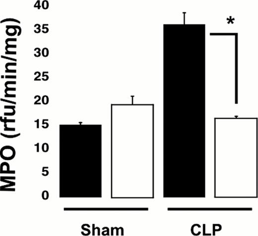 Figure 2:. Sepsis-induced elevations in lung MPO levels are reduced in P2Y12 null mice. MPO analysis was performed in lung samples of Sham and CLP in wild type (black) and KO mice (white). Values are expressed as rfu/min/mg, mean ± SEM (*p < 0.05; KO CLP model versus WT, n=5).