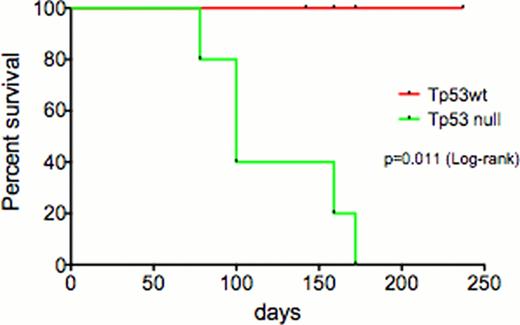 Figure 1:. Survival curve of mice transplanted with JAK2V617F in presence and absence of Tp53