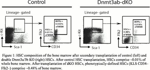 Figure 1:. HSC composition of the bone marrow after secondary transplantation of control (left) and double Dnmt3a/3b KO (right) HSCs. After control HSC transplantation, HSCs comprise ∼0.01% of whole bone marrow. After transplantation of dKO HSCs, phenotypically-defined HSCs (KLS CD34–Flk2–) comprise ∼0.48% of bone marrow.