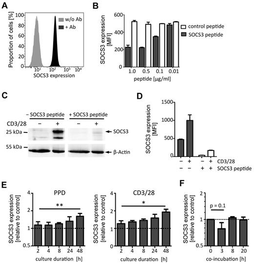 Figure 1. SOCS3 protein expression analysis by flow cytometry. SOCS3 expression of PBMCs and activated T cells was determined by staining with a polyclonal SOCS3-specific antibody (αSOCS3 Ab). (A) Flow cytometric histogram showing SOCS3 expression (MFI; x-axis) of PBMCs with SOCS3-specific antibodies (10 μg/mL; black curve) or without (gray curve). (B) SOCS3 staining of PBMCs after preincubation of antibodies with different concentrations of SOCS3 peptide (gray bars) or control peptide (open bars). MFIs for SOCS3 are shown on the y-axis. Bars represent mean ± SD of 2 replicates. One representative experiment of 3 is shown. (C-D) SOCS3 expression analysis of CD4+ T cells after in vitro culture with αCD3/CD28 or without for 2 days is shown. SOCS3 Ab with or without SOCS3 peptide preincubation was performed. (C) Western blot analysis indicates SOCS3 protein expression. β-Actin was used as a control. (D) SOCS3 expression analysis by flow cytometry. SOCS3 expression is indicated with (open bars) or without SOCS3 peptide (black filled bars). (E) SOCS3 expression of in vitro activated T cells at different time points is shown as relative expression of CD40Lhigh (activated) cells compared with CD40Llow (nonactivated) cells (dotted lines). Stimulations with PPD of M tuberculosis or αCD3/CD28 are depicted. Bars represent mean ± SD of 2 replicates; n = 4. *P < .05 (paired t test). **P < .01 (paired t test). (F) SOCS3 expression in PPD-specific T cells, cocultured with BCG-GFP–infected autologous MDMs at different time points. The relative expression of T cells, cocultured with infected MDMs to T cells, cocultured with noninfected MDMs is shown (dotted line). Bars represent mean ± SD of 2 replicates (n = 3).